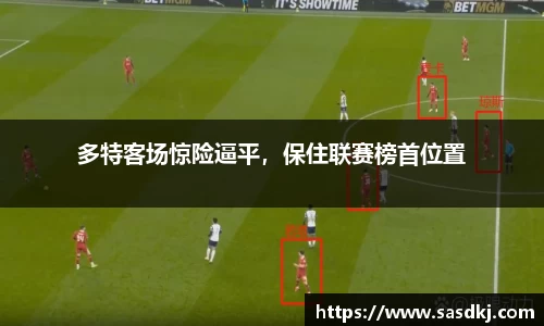 im电竞官网入口